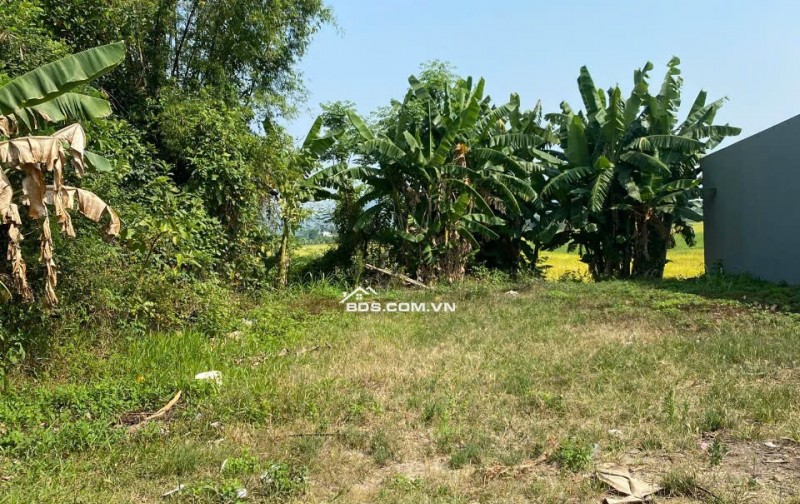 Cần Bán Gấp – Lô Đất Vườn Gần Đình Làng Yến Nê, Diện Tích 300m² – Thích Hợp Làm Nhà Vườn, An Cư Lý Tưởng